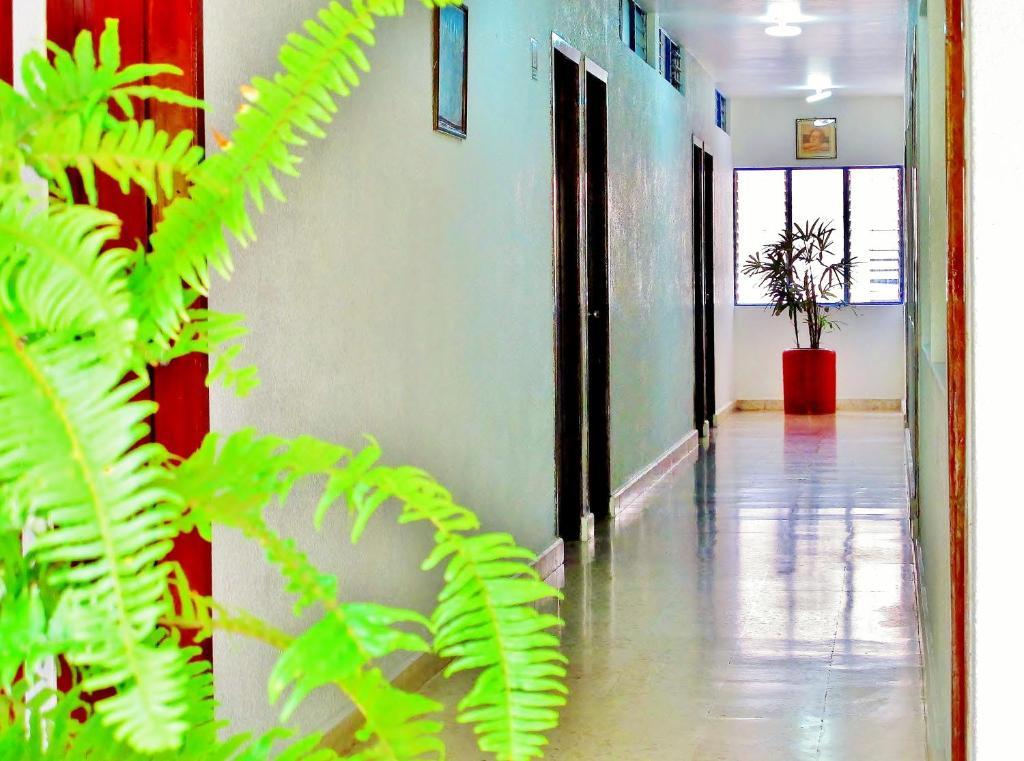 Hotel Acuario Catemaco Bagian luar foto