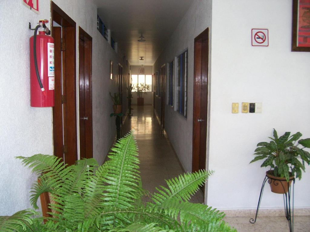 Hotel Acuario Catemaco Bagian luar foto